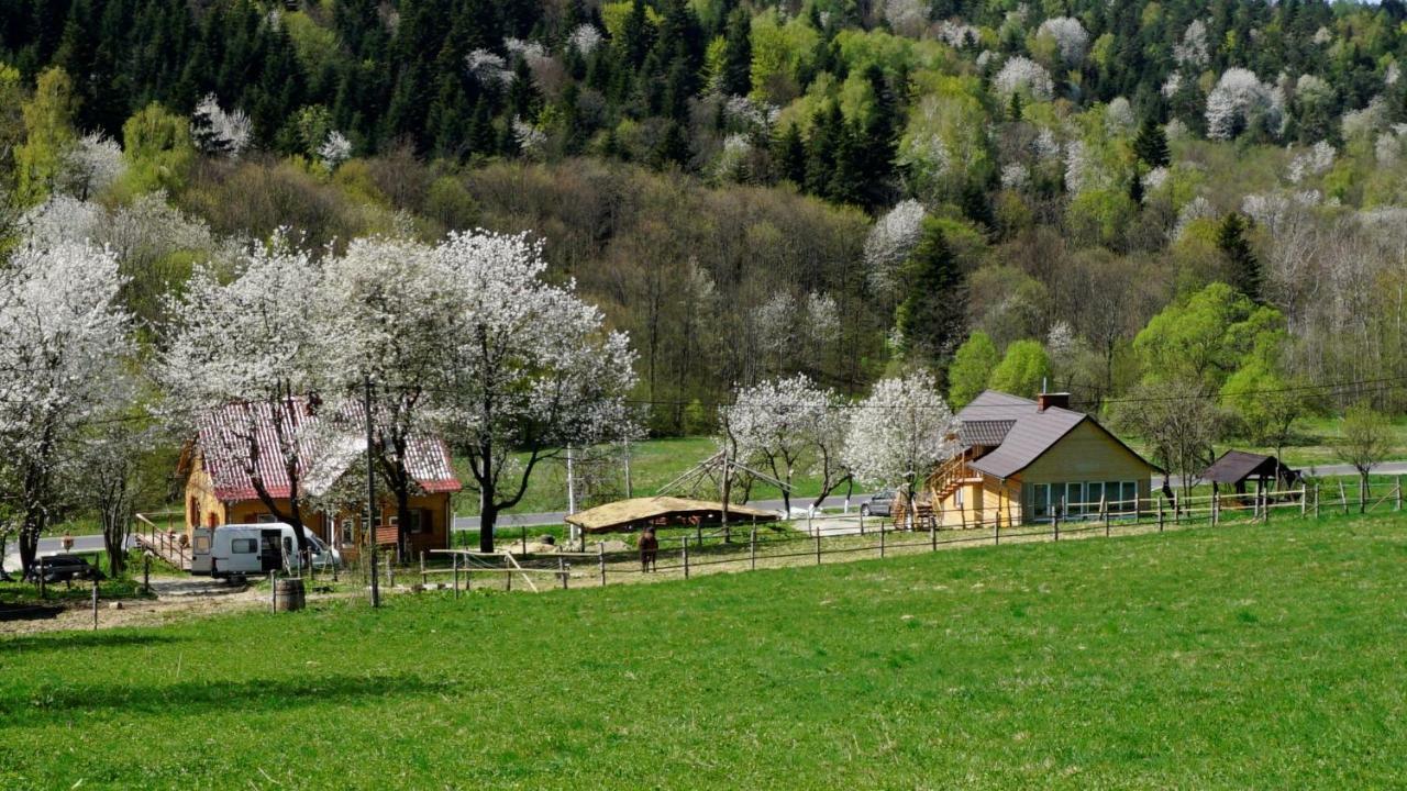 Апартаменты Bieszczadzki Dom Ropienka Экстерьер фото